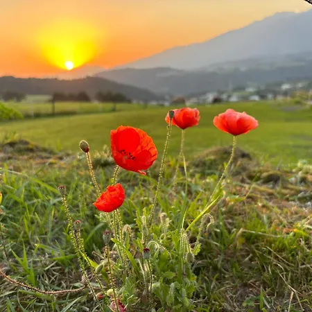 Lexhof Apartamento *