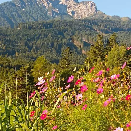 Apartment Lexhof Innsbruck