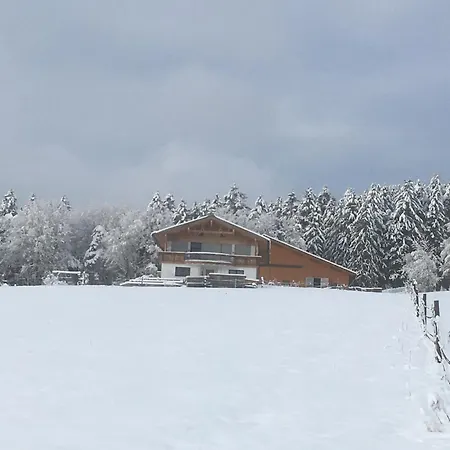 Lexhof 因斯布鲁克