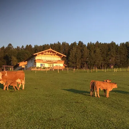 Apartment Lexhof Innsbruck
