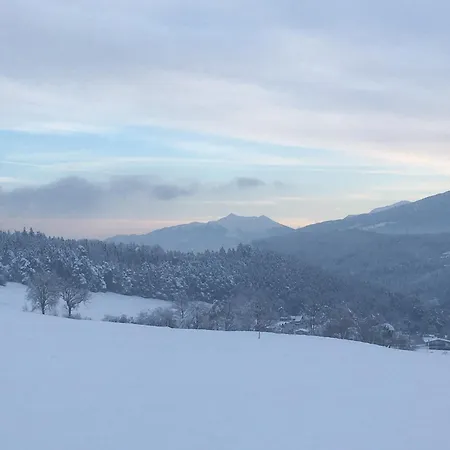 Lexhof 因斯布鲁克