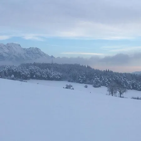 Apartment Lexhof Innsbruck