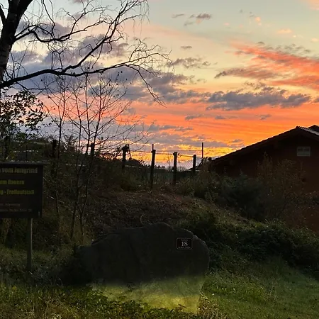 Apartment Lexhof Innsbruck