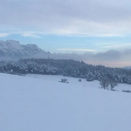 Lexhof Lägenhet *